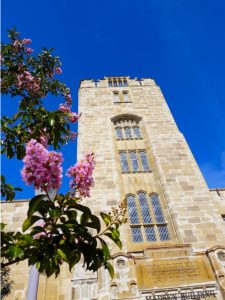 Madsen Building with flowers